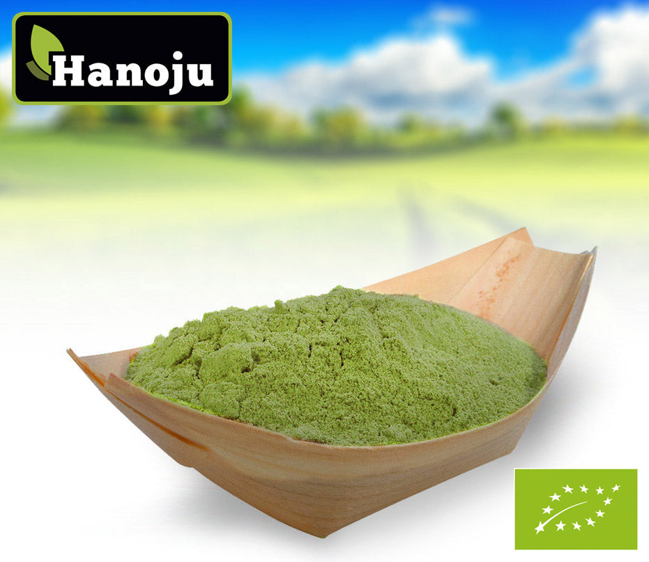 Bio Gerstengras Pulver DE 250 g Zipbeutel