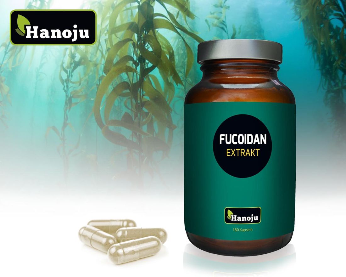 Fucoidan 85 % Extrakt – 600 mg, 180 Kapseln | HANOJU – Hanoju ...
