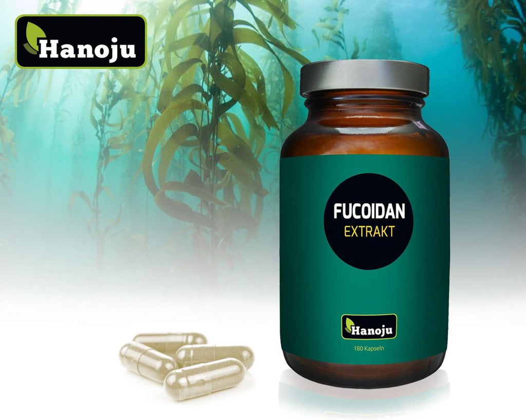 Fucoidan 85% Extrakt 600 mg, 180 Kapseln
