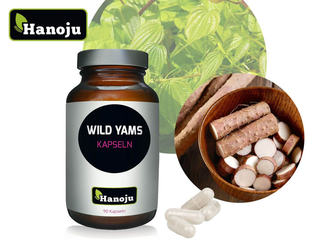 HANOJU Wild Yams Wurzel Extrakt 500 mg, 90 Kapseln
