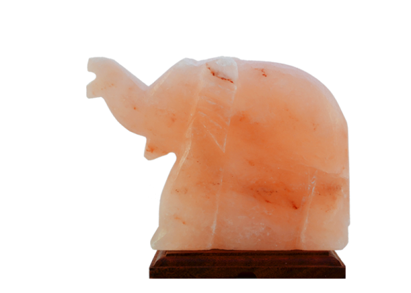 Salzkristall-Lampe Elefant 2 bis 4kg mit Holzsockel