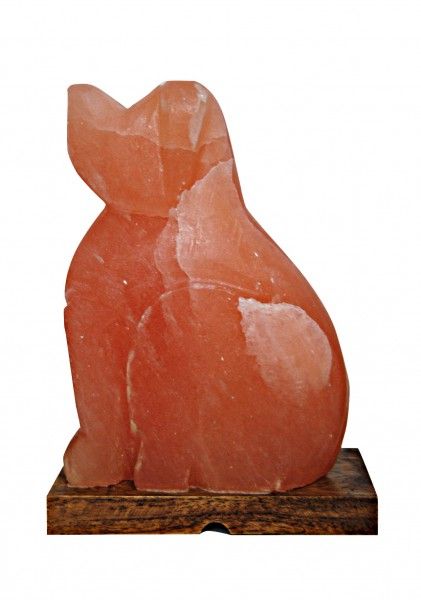 Salzkristall-Lampe Hund 2 bis 4kg mit Holzsockel