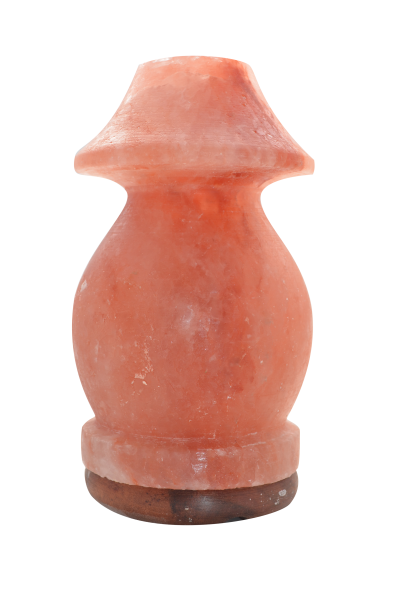 Salzkristall-Lampe Pilzschirm 2 bis 4kg mit Holzsockel